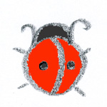 coccinelle demoiselle