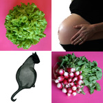 La toxoplasmose chez la femme enceinte