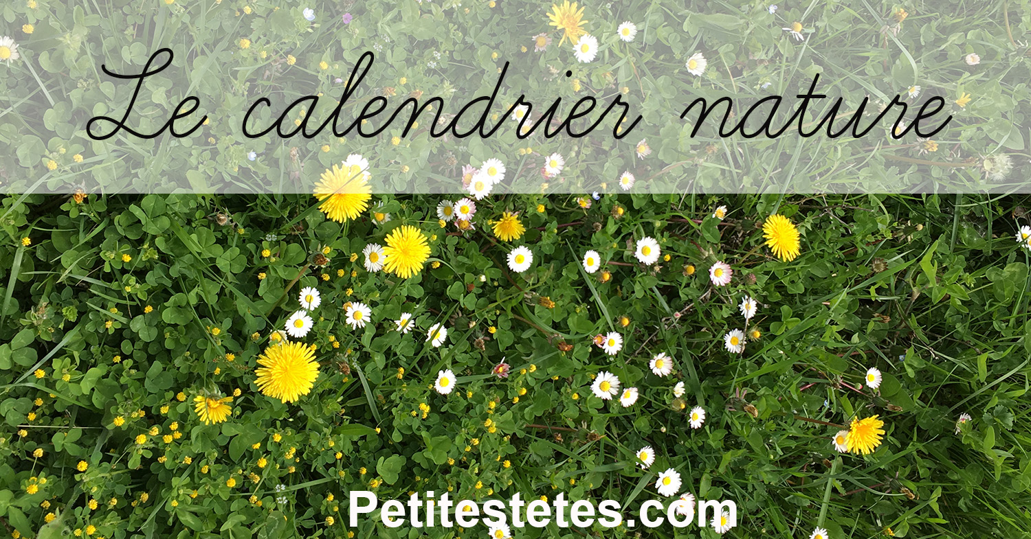 calendrier nature FB