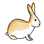 lapin-1